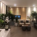 드림정신건강의학과의원 이미지