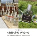 수원역 데이트 수원향수공방 파펌나인 평일 오후 혼자 방문 후기!