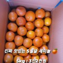 ■추천■ 정말싱싱하고 맛있는 제주의 5월 노지귤 세미놀 🍊 이미지