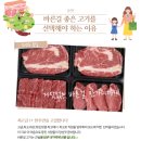 주식회사 친환경케어