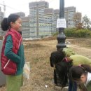 용미초등학교 이미지