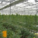 호산농원 이미지