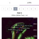 스크린골프 후기 골린이 비거리 늘리기 SG포웰