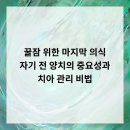 원덴탈솔루션치과의원 | 꿀잠 위한 마지막 의식, 자기 전 양치의 중요성과 치아 관리 비법