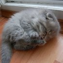 몽글몽글 이미지