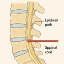 박순용정형외과의원 | 수유동 정형외과 실력 있는 곳은 이렇게 합니다 <공개>