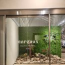 마고플레인 이미지