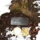 한치목장 이미지