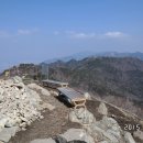 개림초등학교 이미지