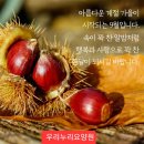 우리누리요양원 이미지