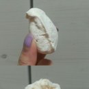 오피에스(OPS) 이미지