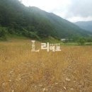 가든 모텔 네이버블로그