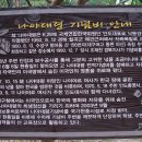 나야 카카오 검색결과