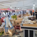 거상애견 이미지