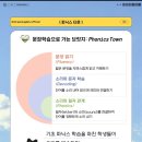 서울연가초등학교 | [공지] 예비 초등학생 영어, 파닉스는 언제 시작해야 할까?