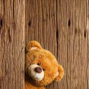 테디베어 이미지