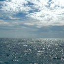 칼리토 | 보홀 한바다 호핑투어 후기 / 돌고래와칭, 발리카삭 호핑투어, 바베큐플래터