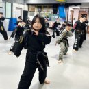 아미초병설 이미지