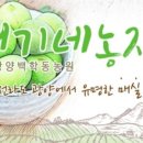 서기농산물