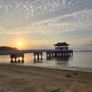 영일대해수욕장 이미지