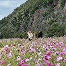 스테이목아 이미지