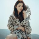 레인코트 RAIN COAT | 여름 성인 우비 브랜드 추천 | 지오다노 우비, 락피쉬 레인코트