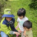 실내초병설유치원 이미지