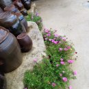 과거,현재,미래 이미지