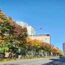 파크리오공인중개사사무소 이미지