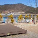 궁농오토캠핑장 이미지