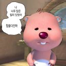 오르나페이스 | 군산 속눈썸펌 제대로 하려면 오르나페이스로!