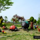 단호샌드파크 캠핑장 이미지