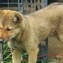 재왕 농장 이미지