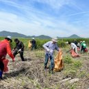 세계자원환경 이미지
