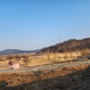 청덕수변생태공원 이미지