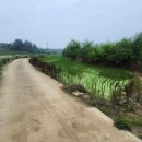 상상초월공인중개사사무소 이미지