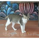 HOTEL PARK HILL 이미지