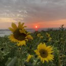 골막식당 이미지