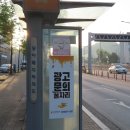 봄의 벚꽃과 여름의 장미가 반기는 부천 도당산 이미지