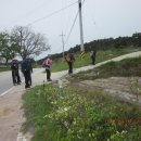 남의 눈에 다보이는 고사리는 어디가고! - 남원 연화산(527m)~약산(449m)~청룡산(478m) 이미지