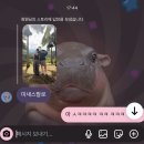 1-2일차｜모리셔스 - 베란다 폴 엣 버지니 후기 및 기록 ( ◜▿◝ )