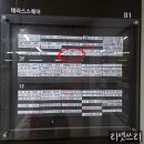 김포한강9로-L | 김포구래동속눈썹 에르또뷰티 또렷해지는 눈매