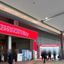 러쉬캣 | 2026 가낳지모 캣페어 winter 코엑스 ㅣ 고양이 박람회 필수참석하는 집사의 금요일 후기 &amp; 꿀팁