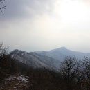 안나하우스벨리 이미지