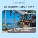 동방카 | 아이와 보라카이 호핑투어 가격 보라아재 투어 예약