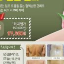 새롬에스테틱 - 전주시 완산구 | 새롬에스테틱