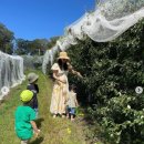 정양농장 이미지