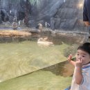 외동팜 | 플라넷 일산] 일산 아기와함께가볼만한곳 실내가볼만한곳 주말나들이 데이트 아쿠아리움 수족관_이용후기