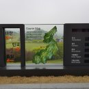 자유로CC Daum카페