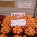 레이어프로젝트